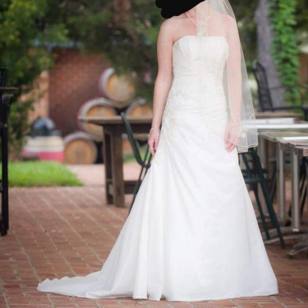 Wedding Dress & Veil